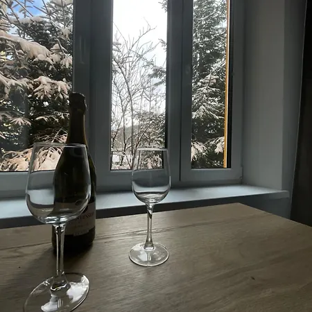 Guest house Svaty Mikulas Janske Lazne